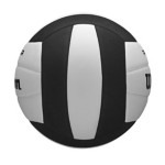 Wilson Pro Tour Volleyball - Thumbnail 4 of 9