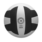 Wilson Pro Tour Volleyball - Thumbnail 8 of 9