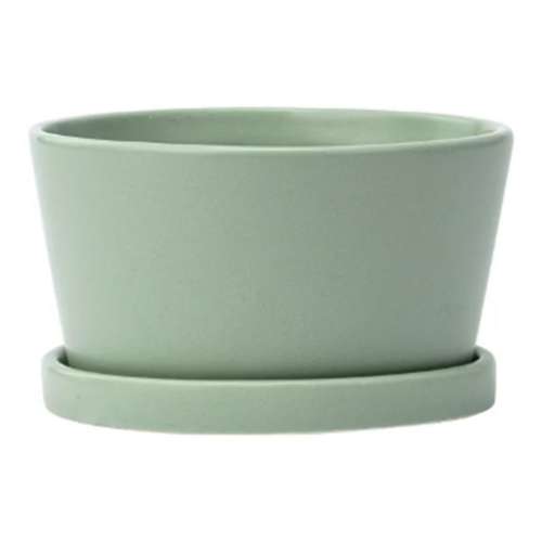 Napco Imports Green Dish Planter with Saucer