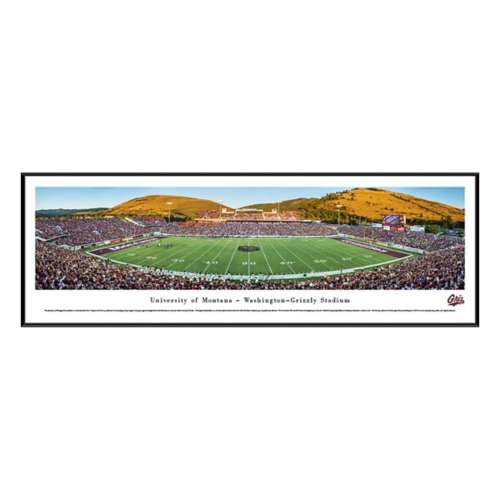 Blakeway Panoramas Montana Grizzlies Framed Stadium Photo