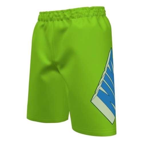 Boys' Nike 3D Swim Trunks