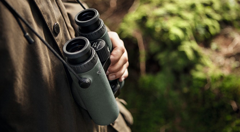Swarovski binoculars for birding