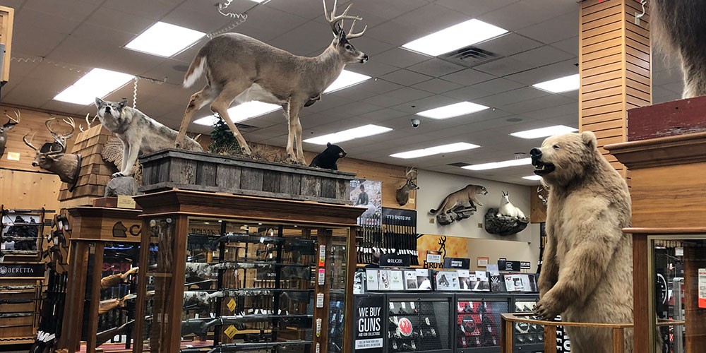 Eau Claire SCHEELS Hunt Shop & Demo Ranges