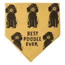 Poodle