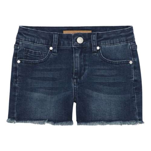 Joe's jeans men's on sale shorts