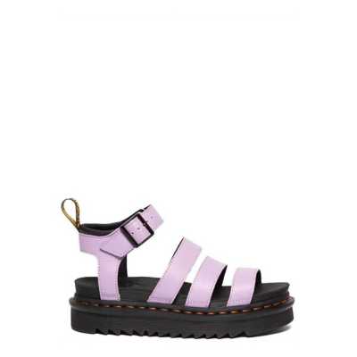 Lilac Pisa