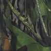 Mossy Oak Shadow Leaf