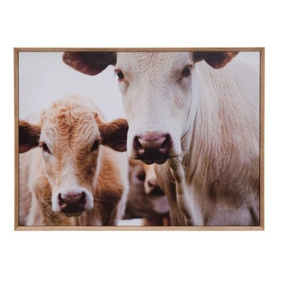 Creative Co-Op Wood Framed Wall Décor with Cows Photography | SCHEELS.com