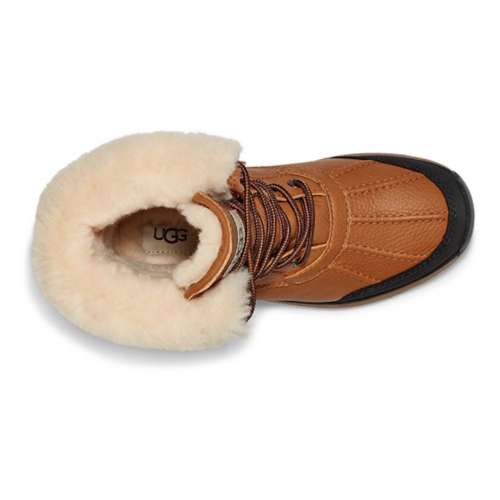 Scheels 2025 ugg boots