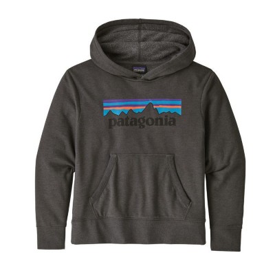 boys patagonia hoodie