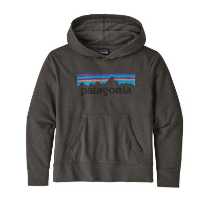 lightweight patagonia hoodie