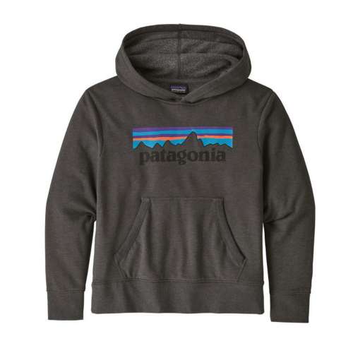Boys' Patagonia Lightweight Graphic Hoodie Sweatshirt