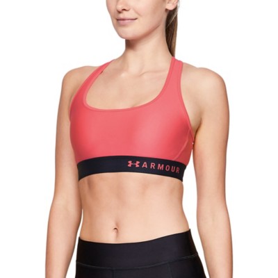 scheels sports bras