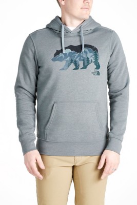 the north face bearscape hoodie