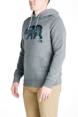 the north face men's bearscape pullover hoodie