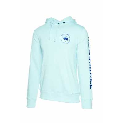 the north face men's bearscape hoodie