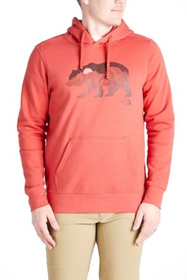 the north face bearscape hoodie