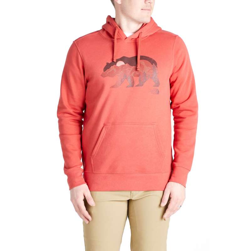 the north face men's bearscape hoodie
