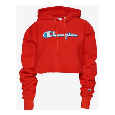 champion reverse weave graphic hoodie