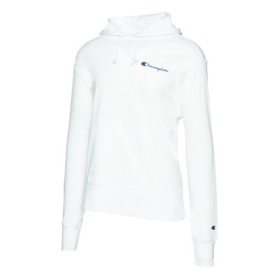 champion men's heavyweight jersey hoodie