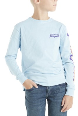 long sleeve patagonia tee