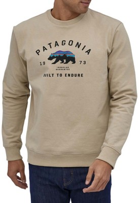 patagonia arched fitz roy bear