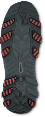 irish setter ice trek