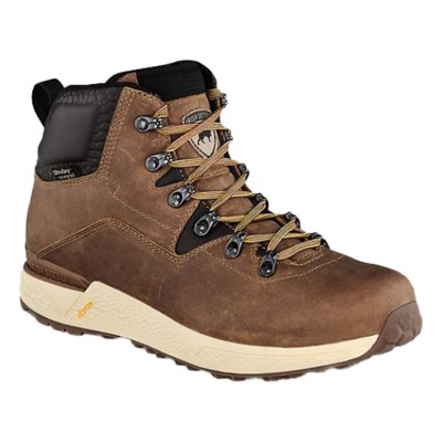 irish setter 2875