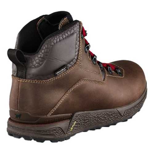 irish setter 2875