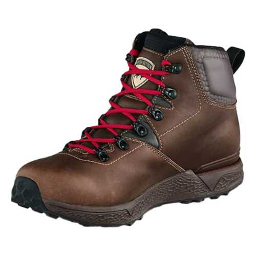 irish setter 2875