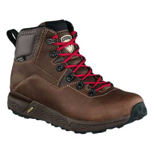 irish setter 2875