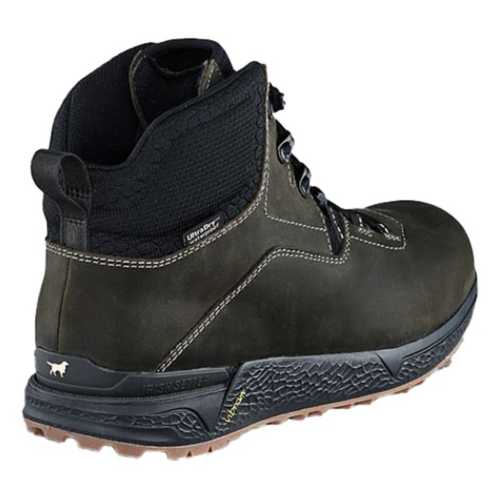 irish setter 2875