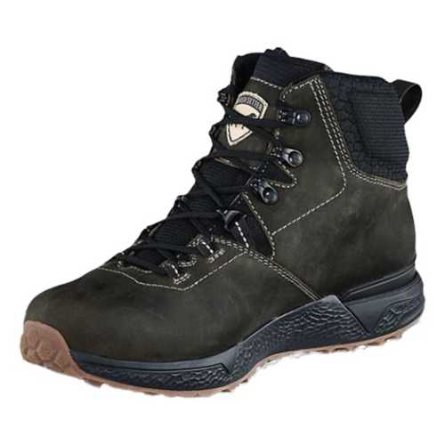 irish setter 2875