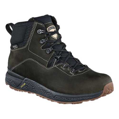 irish setter 2875