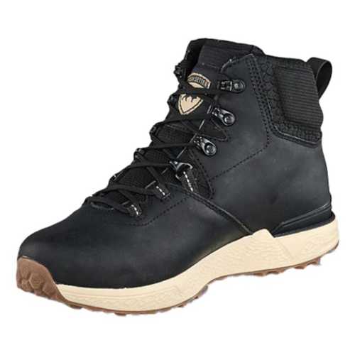 irish setter 2875