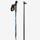 Men's Salomon R30 Click Cross Country Ski Poles