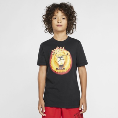 dri fit lebron shirt