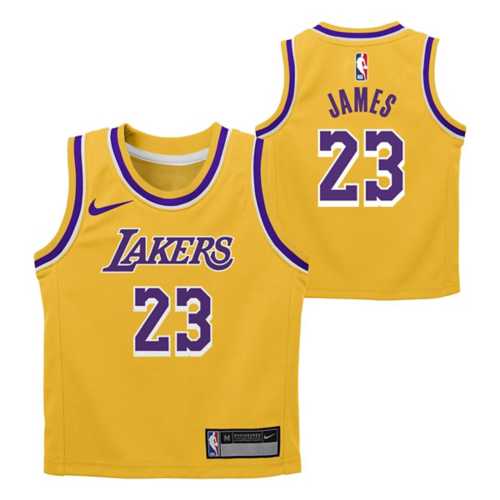 Nike Kids' Los Angeles Lakers Lebron James Swingman Jersey