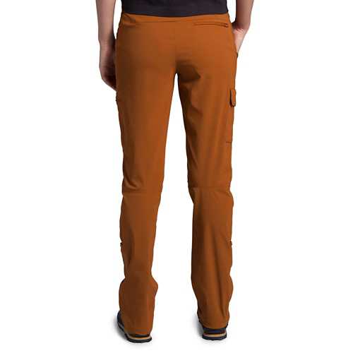 the north face paramount active pants