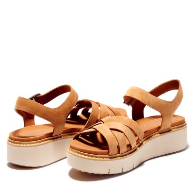 safari dawn