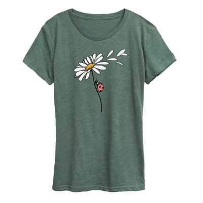 Ladybug On Daisy