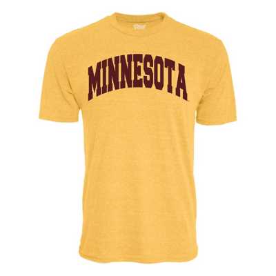 MN Viking and Gopher Team Colors - Dog Bandanas –