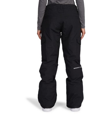 dc ski pants womens