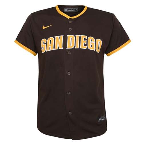 Fernando Tatís Jr. San Diego Padres Nike Youth 2020 Road Official Player Jersey - Brown