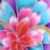 Mums The Word