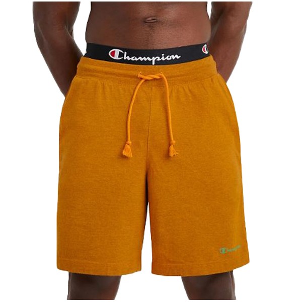 Men's Champion Middleweight Overdye Jersey Lounge Shorts product image