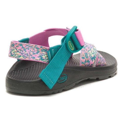 Scheels chacos outlet