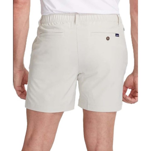 Men's Chubbies Lined Everywear Performance Shorts