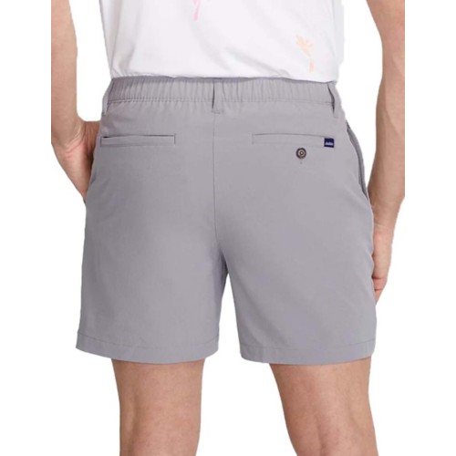 Men's Chubbies Lined Everywear Performance Shorts