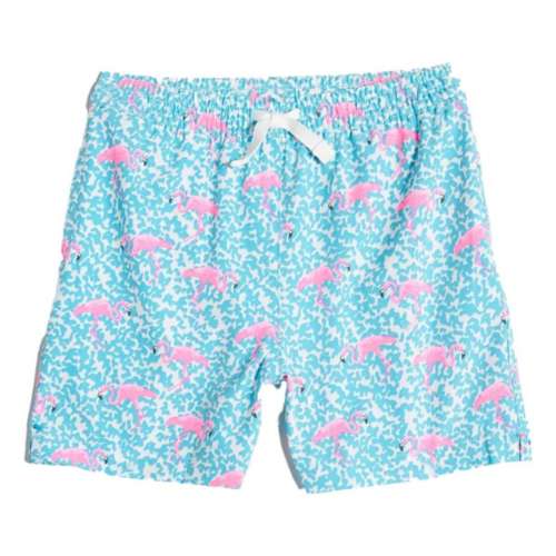 Toddler Boys Size 2T Swim Shorts Swim Trunks with Crocodiles Blue, Colorful  NEW